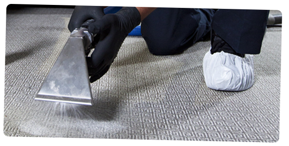 Professional Carpet Cleaners To Remove Stains